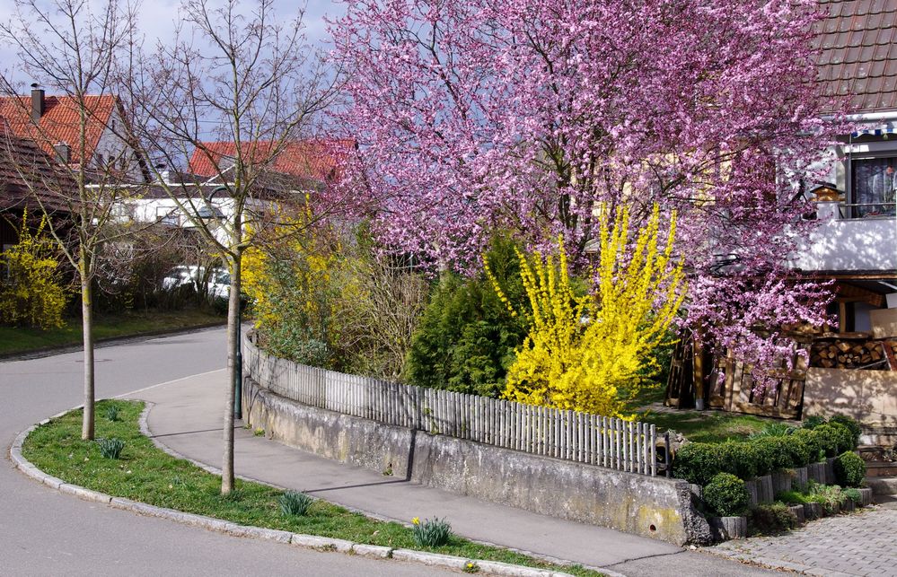 der blick aus dem küchenfenster