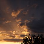 Der Blick aus meinem Badezimmerfenster.