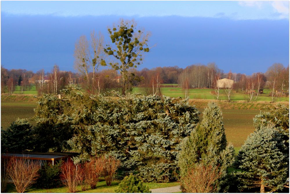 Der Blick aus meinem Bürofenster