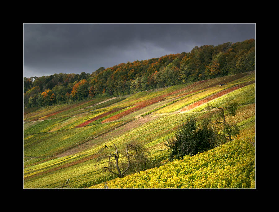 Der Blick aus meinem Fenster - 27.10.