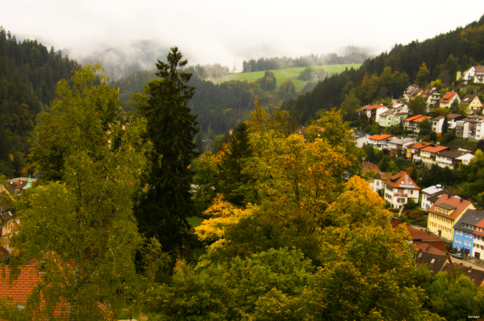 Der Blick aus meinem Fenster