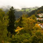 Der Blick aus meinem Fenster