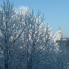 Der Blick aus meinem Fenster