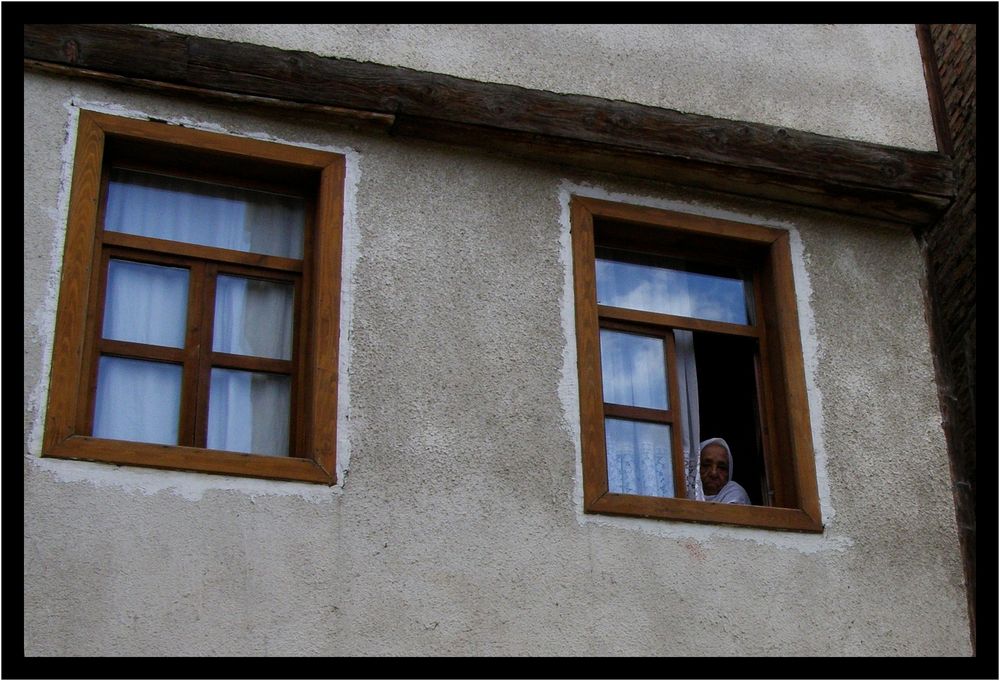 Der Blick aus meinem Fenster