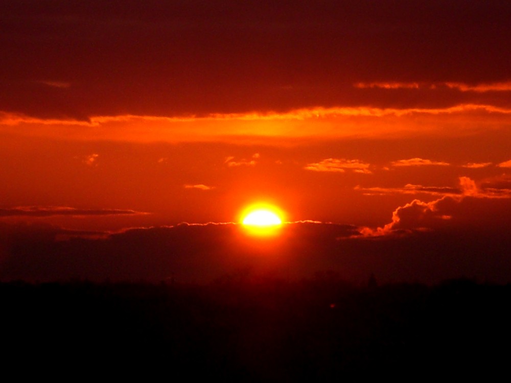 der blick aus meinem fenster..