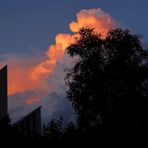 Der Blick aus meinem Fenster