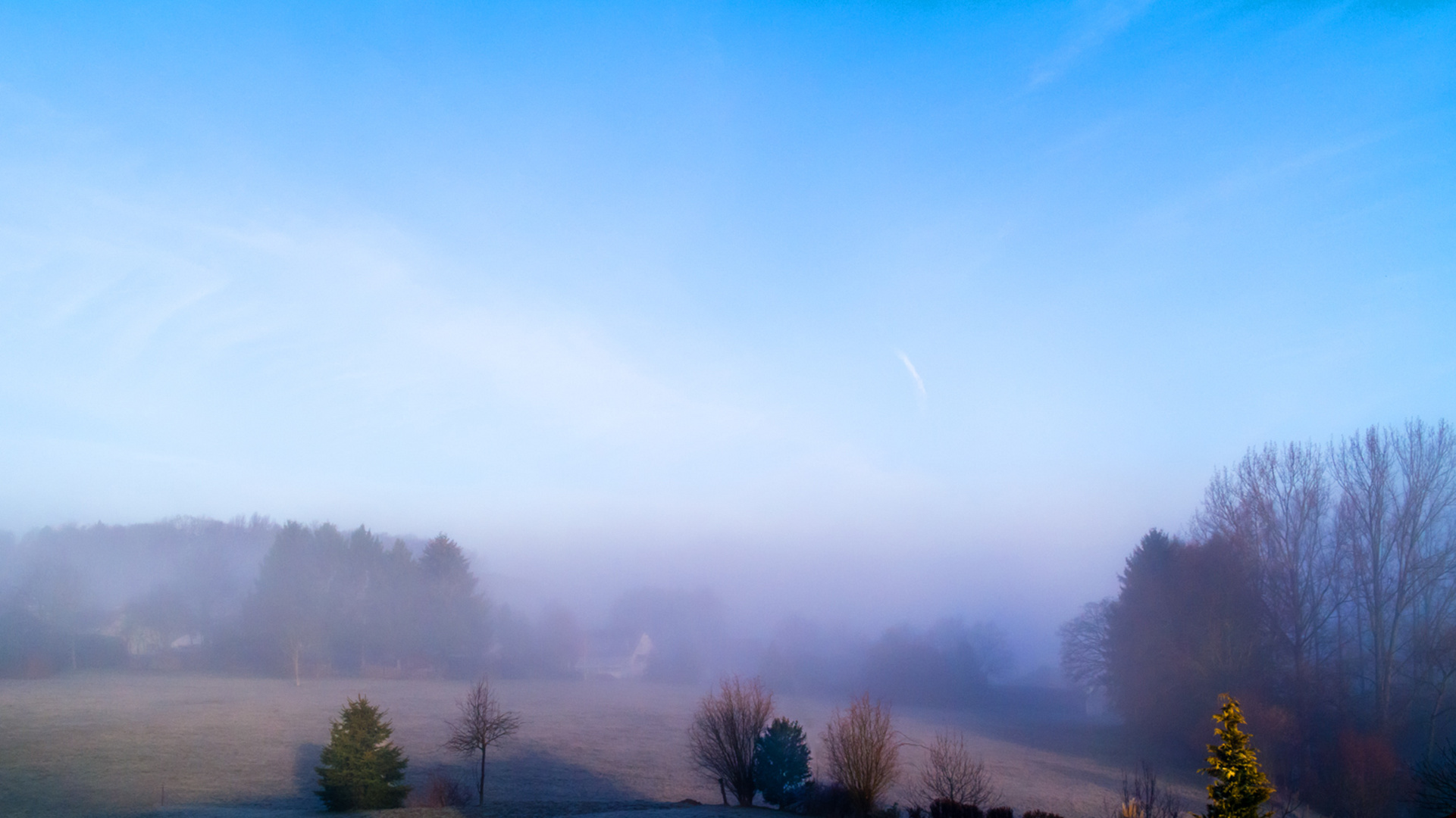 Der Blick aus meinem Fenster