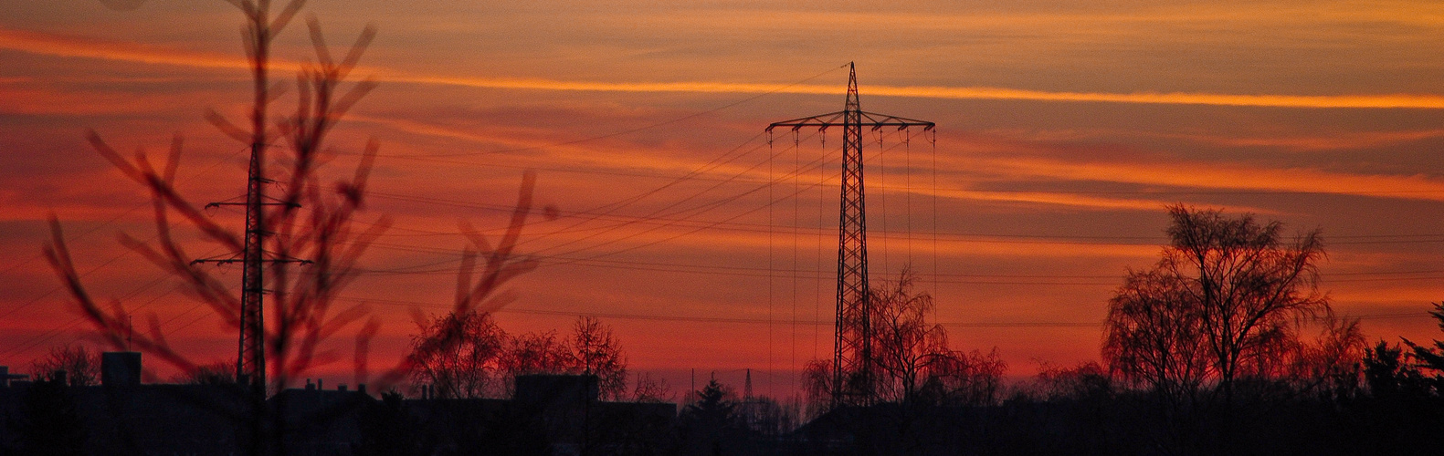 Der Blick aus meinem Fenster.