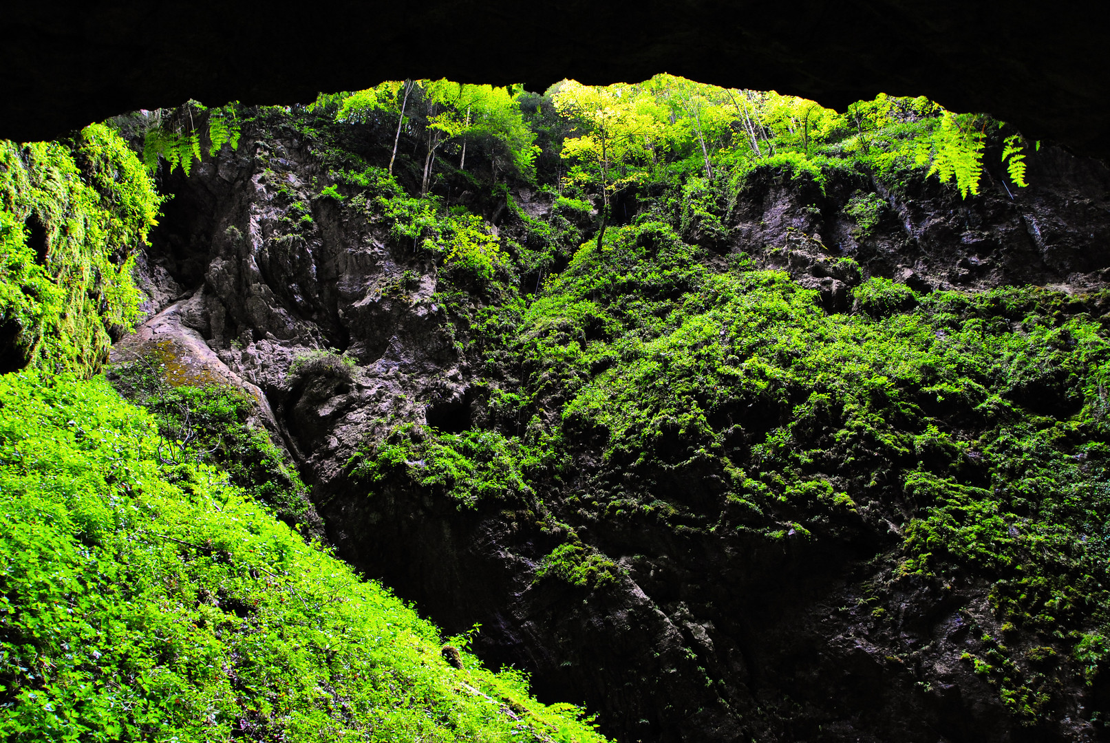 Der Blick aus meiner Höhle