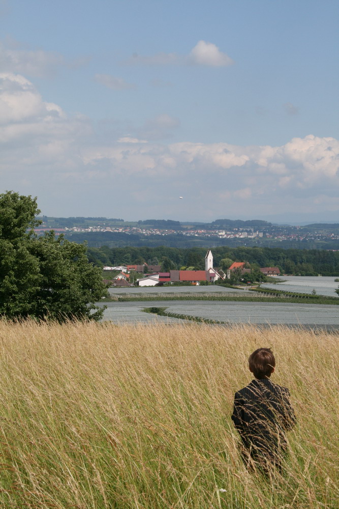 Der Blick....