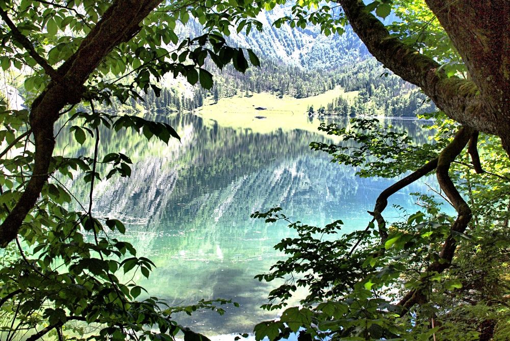 Der Blick durch die Äste Foto & Bild | deutschland, europe, bayern ...