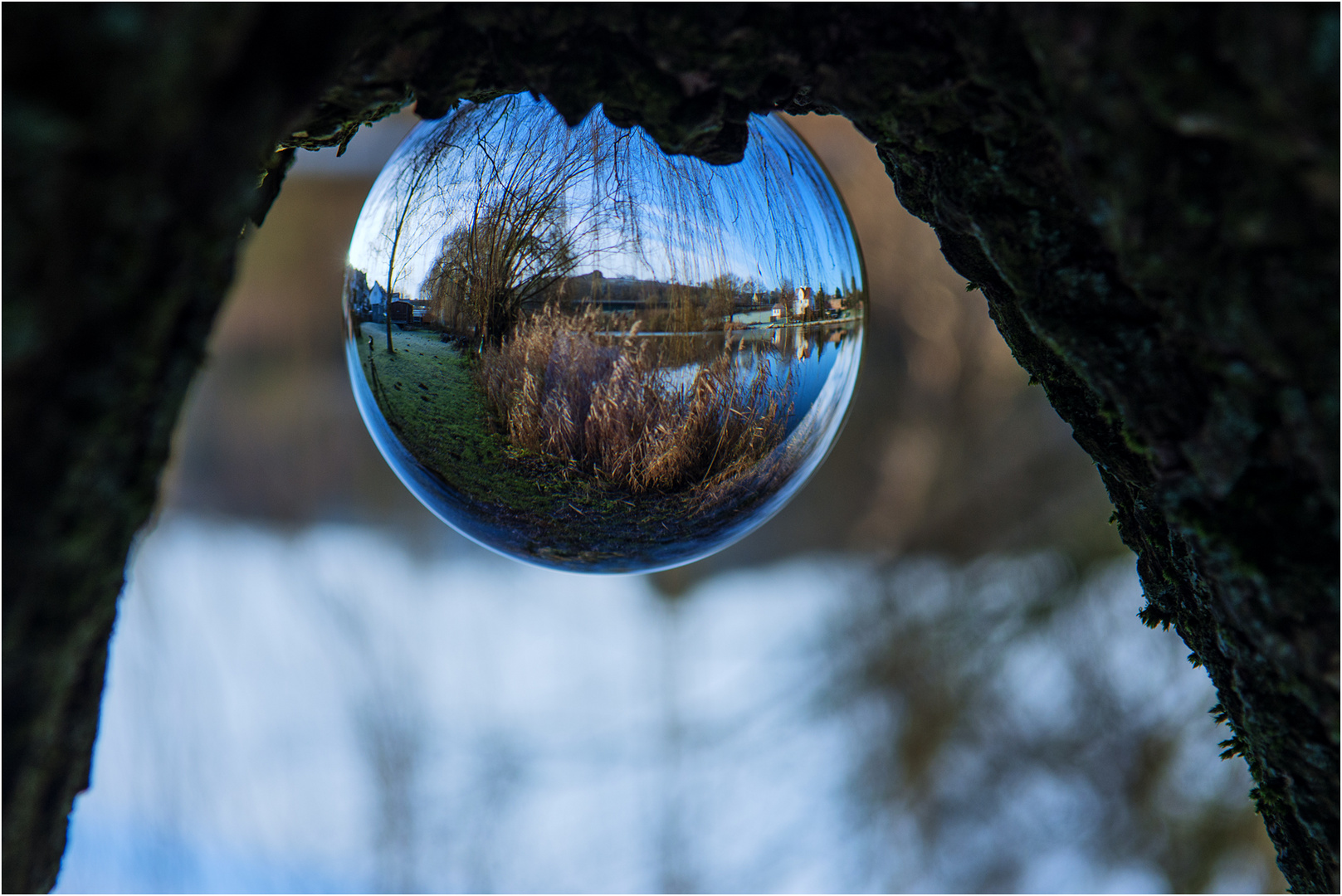 Der Blick durch die Glaskugel