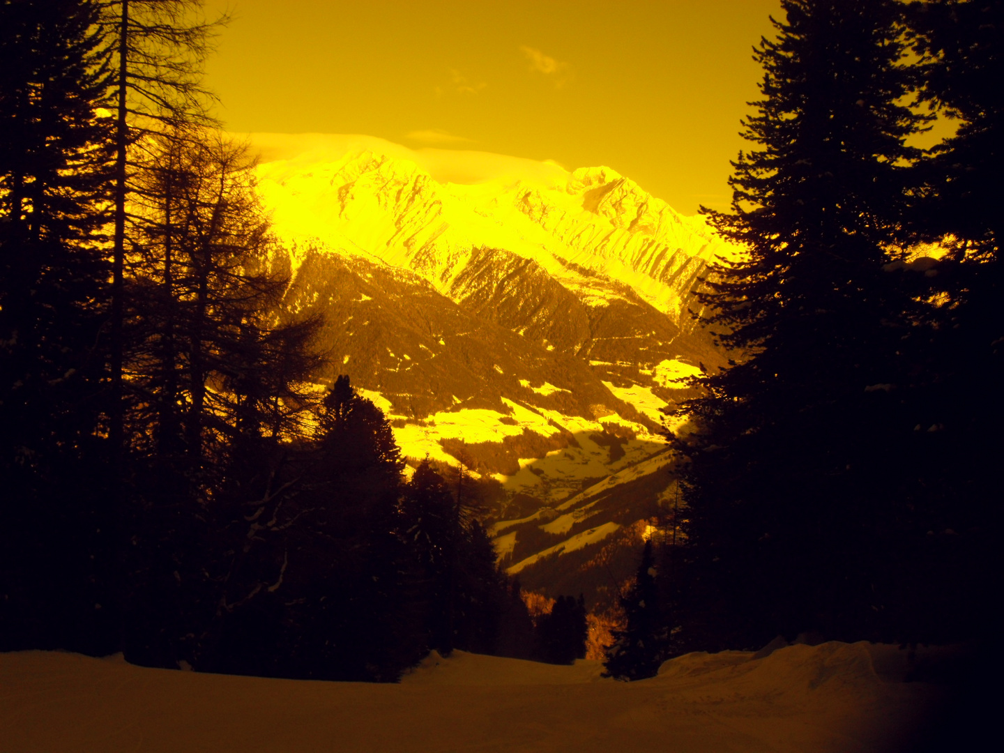 der Blick durch die Skibrille [2010|12|19]