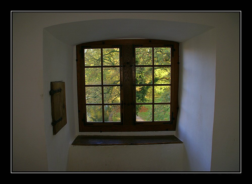 blick durchs fenster