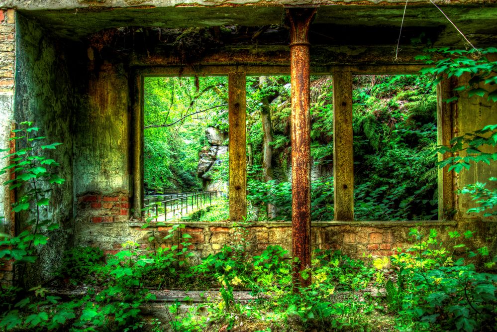 Der Blick durch�s Fenster Foto & Bild bearbeitungs
