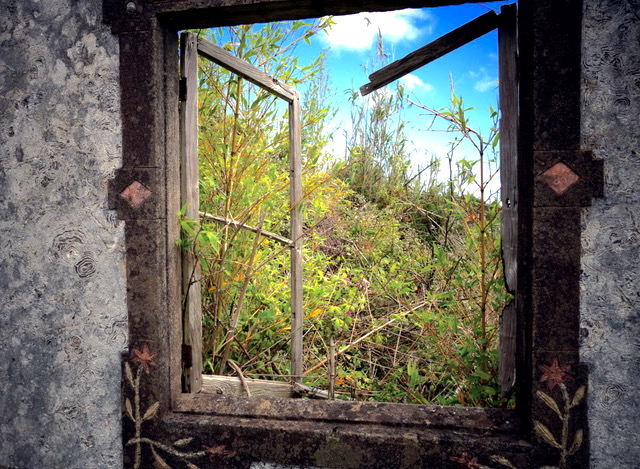 Der Blick durchs Fenster verspricht den Frühling