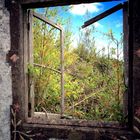 Der Blick durchs Fenster verspricht den Frühling