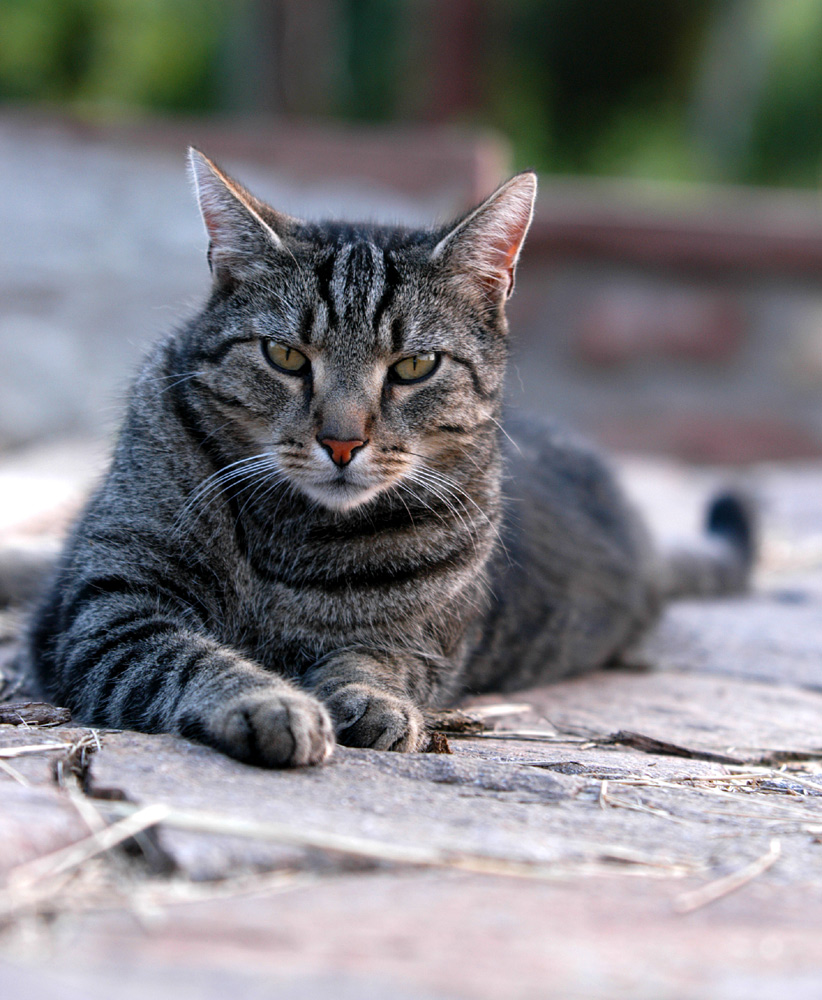 der Blick ...