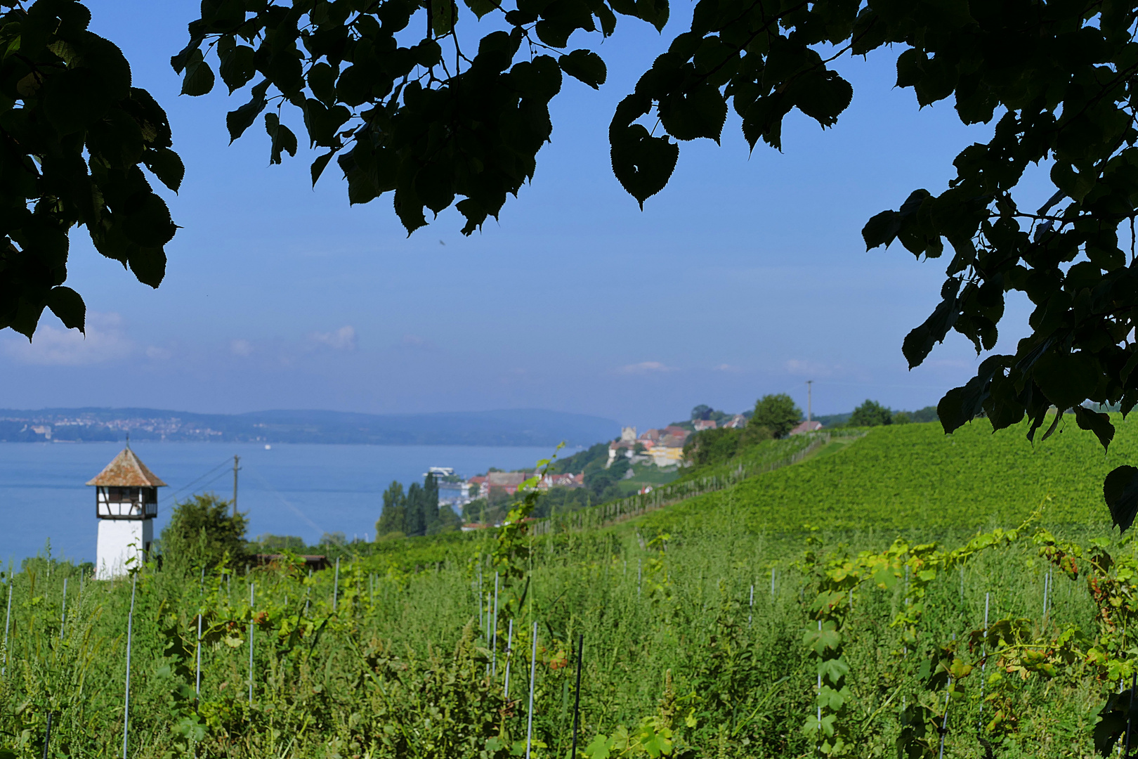 der Blick geht bis nach Meersburg