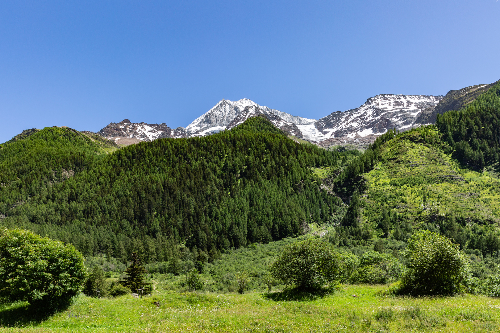 Der Blick hoch zum Bietschhorn