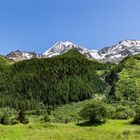 Der Blick hoch zum Bietschhorn