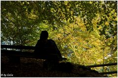 Der Blick in den Abgrund