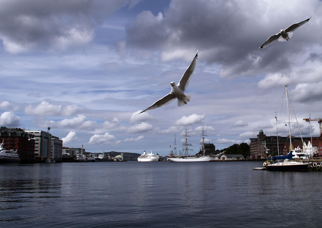 der Blick in den alten Hafen von Bergen