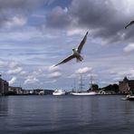 der Blick in den alten Hafen von Bergen