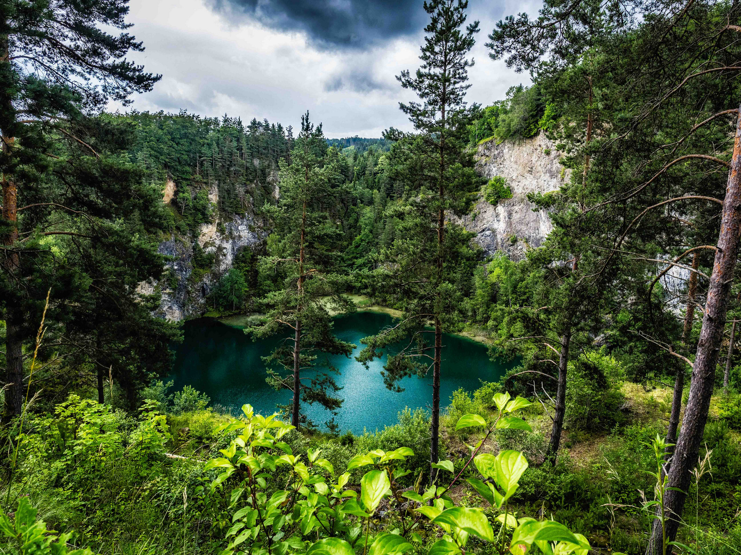 Der Blick in den blauen See (am Höwenegg)