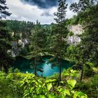 Der Blick in den blauen See (am Höwenegg)