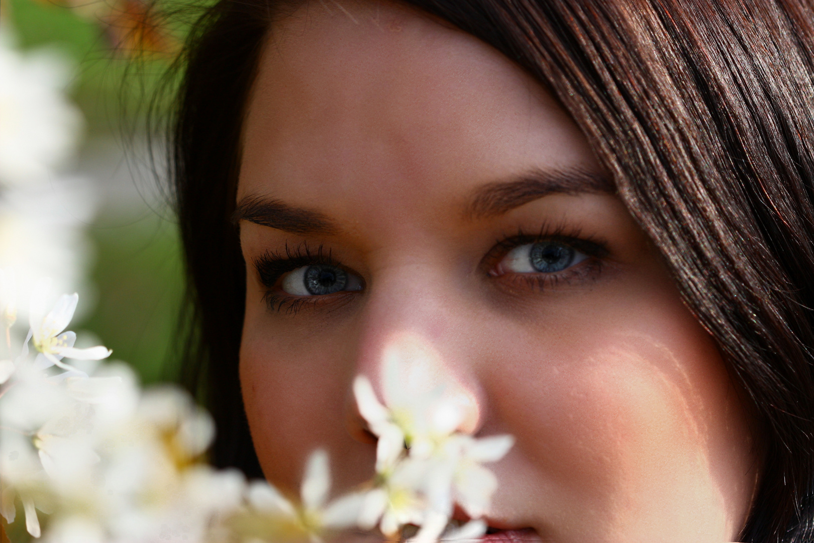 Der Blick in den Frühling