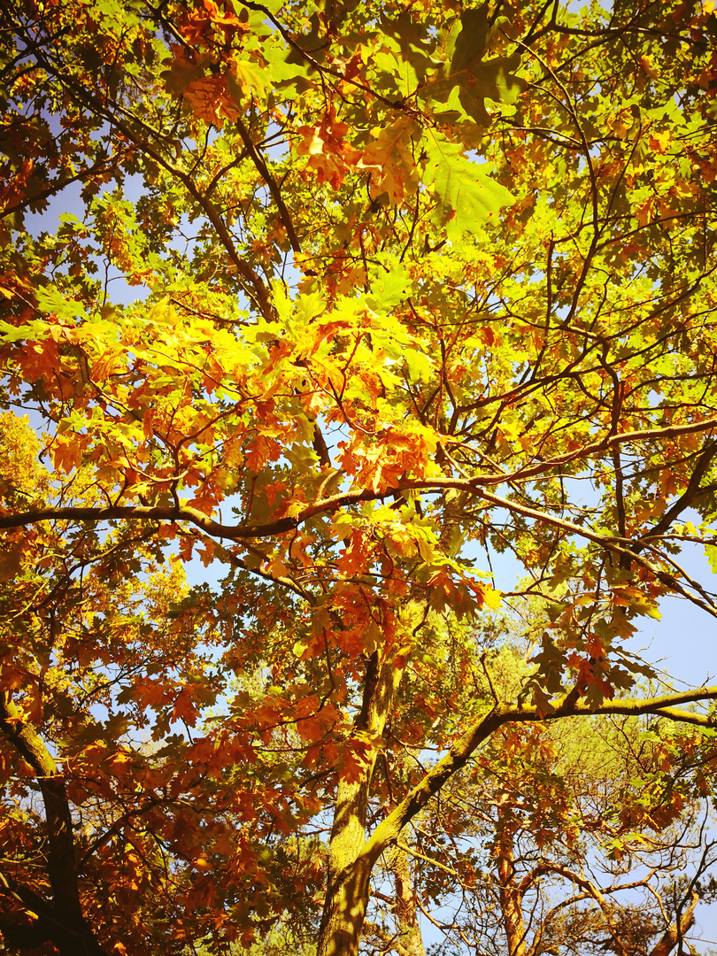 Der Blick in den Herbst 