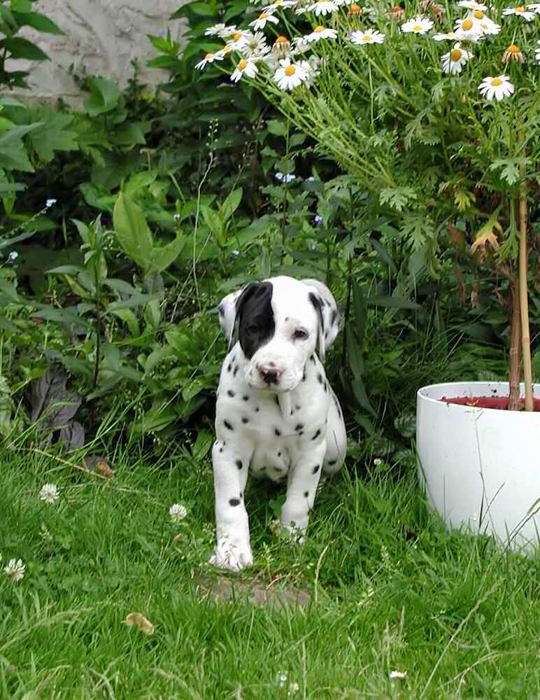 Der Blick in den Sommer