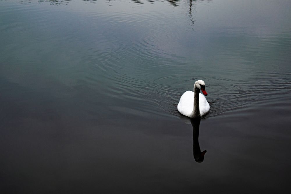 Der Blick in den Spiegel...