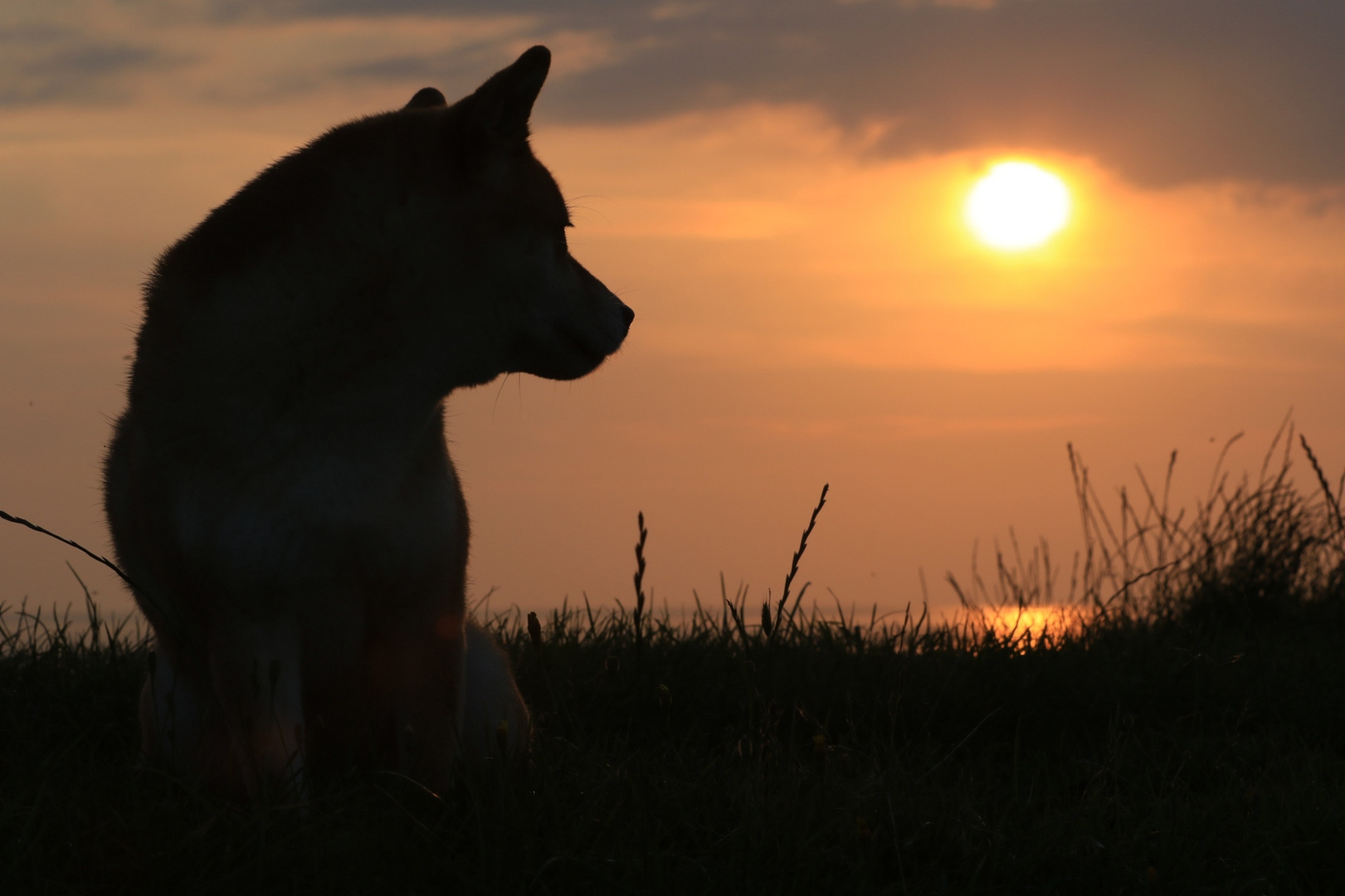 Der Blick in die Abendsonne