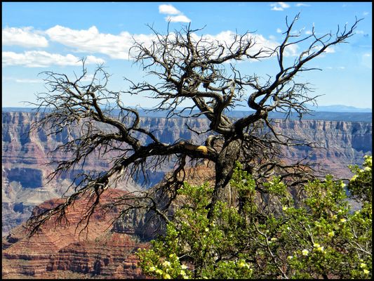 DER BLICK IN DIE FERNE....