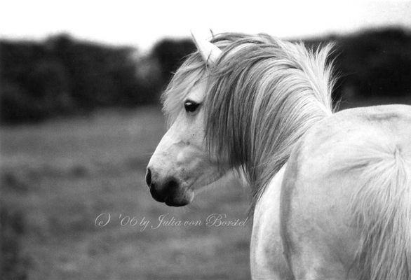 Der Blick in die Ferne