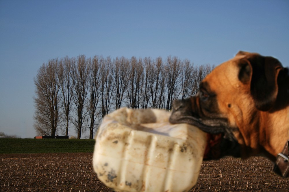 Der Blick in die Ferne