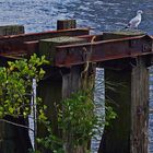 Der blick in die Ferne/ Hamburger Hafen