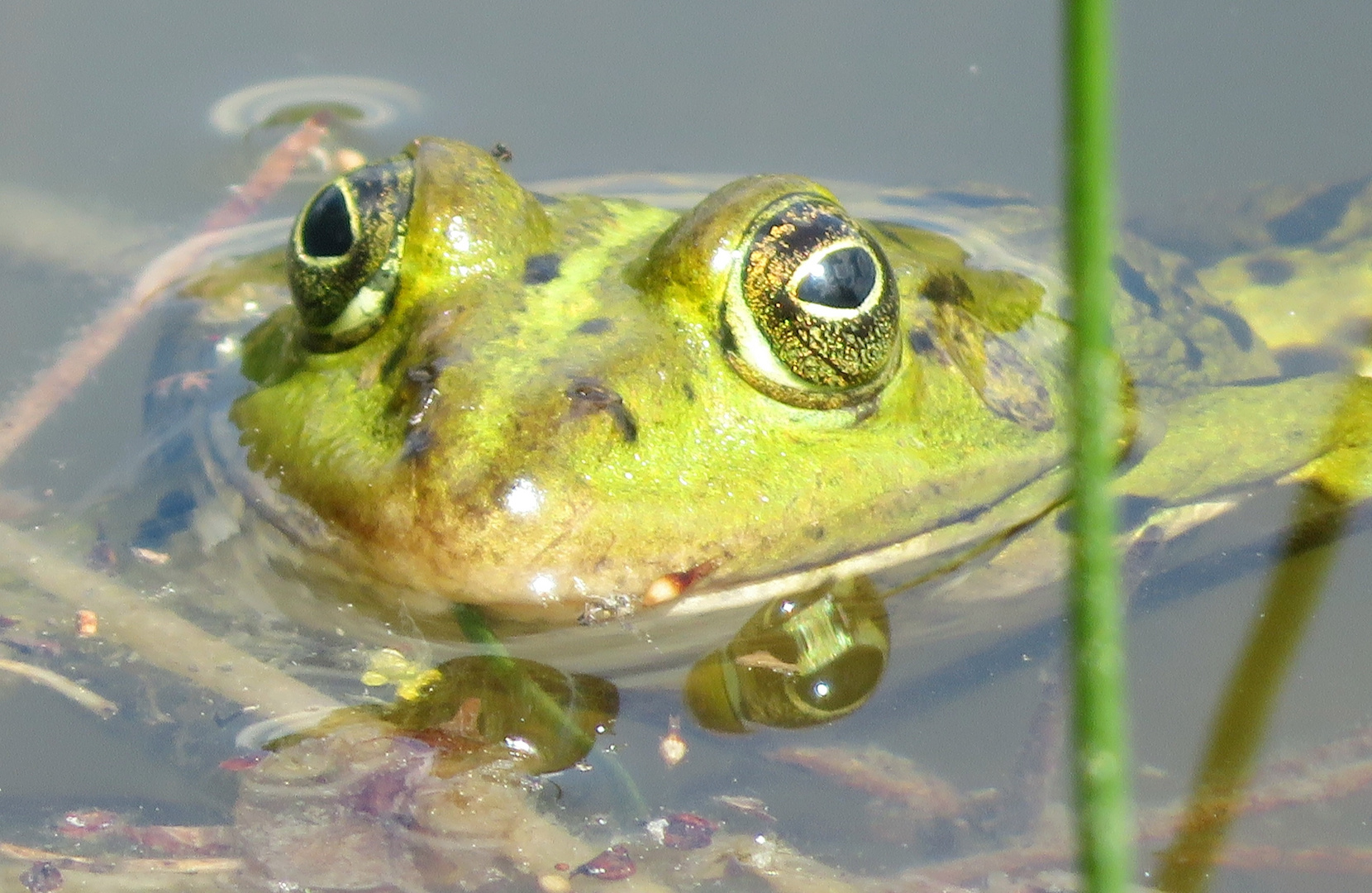 Der Blick in die neue Woche 