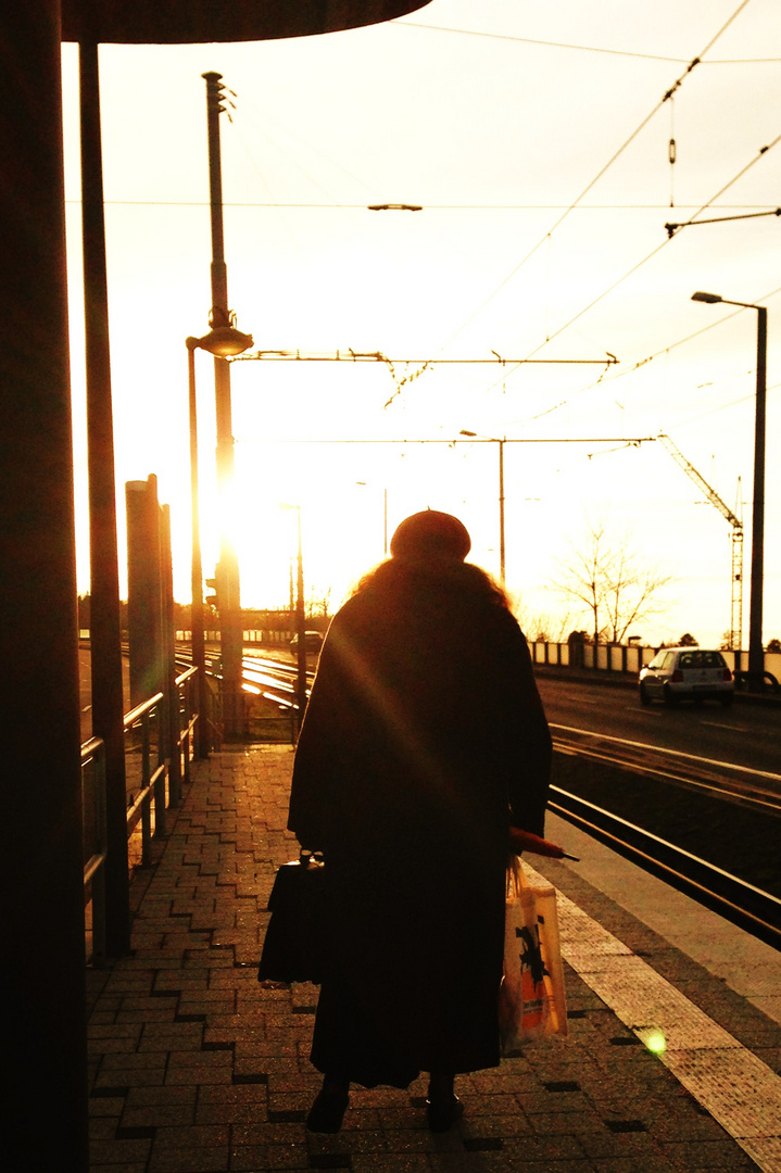 der Blick in die Wintersonne