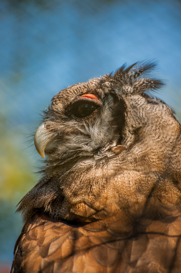 Der Blick in die Zukunft