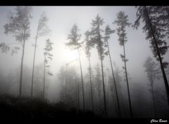 Der Blick in die Zukunft wird häufig vom Nebel der Gegenwart verschleiert.