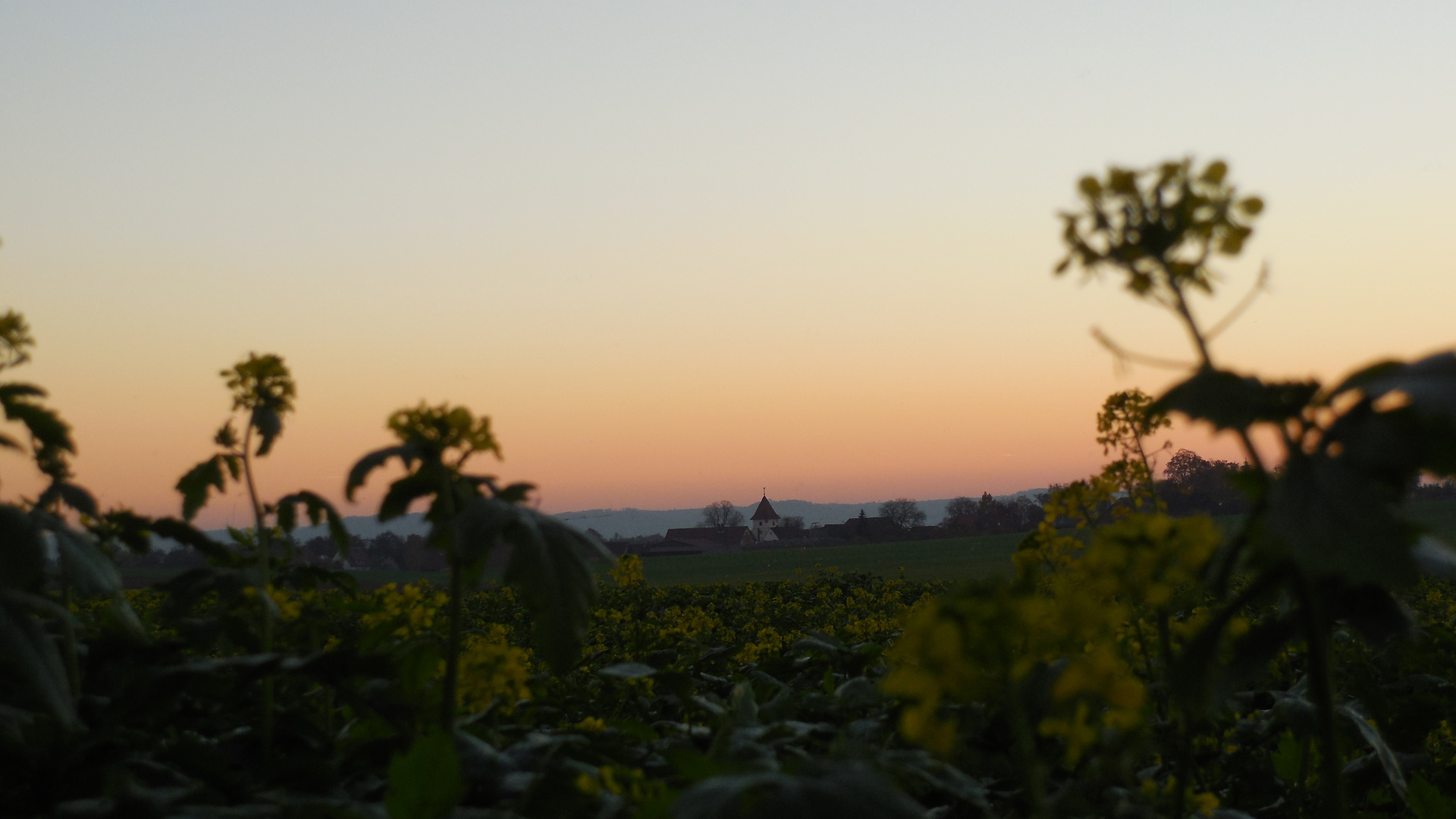 Der Blick ins Dorf