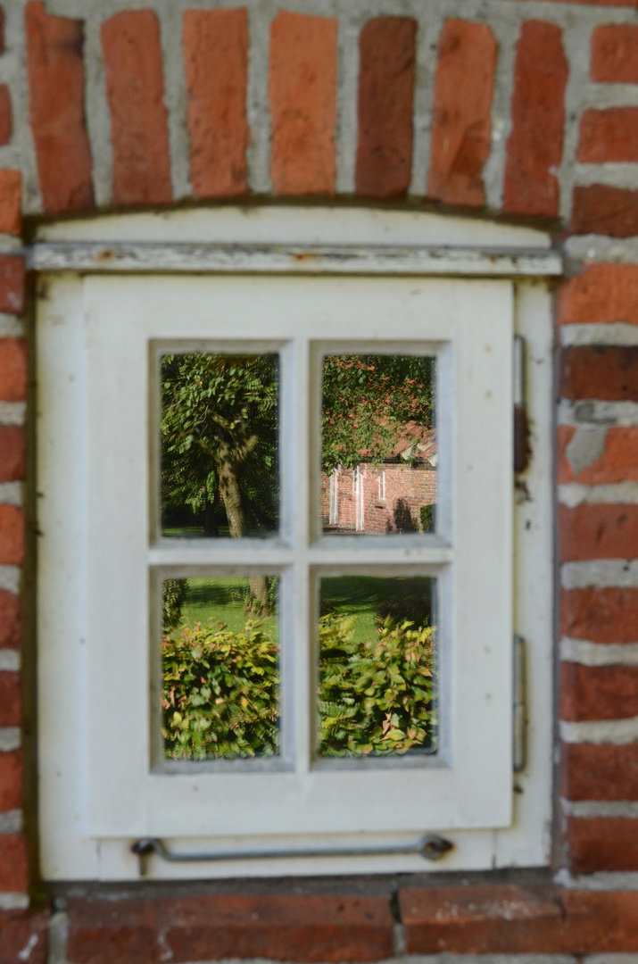 Der Blick ins Fenster