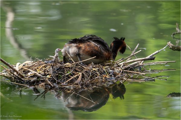 Der Blick ins Leben....