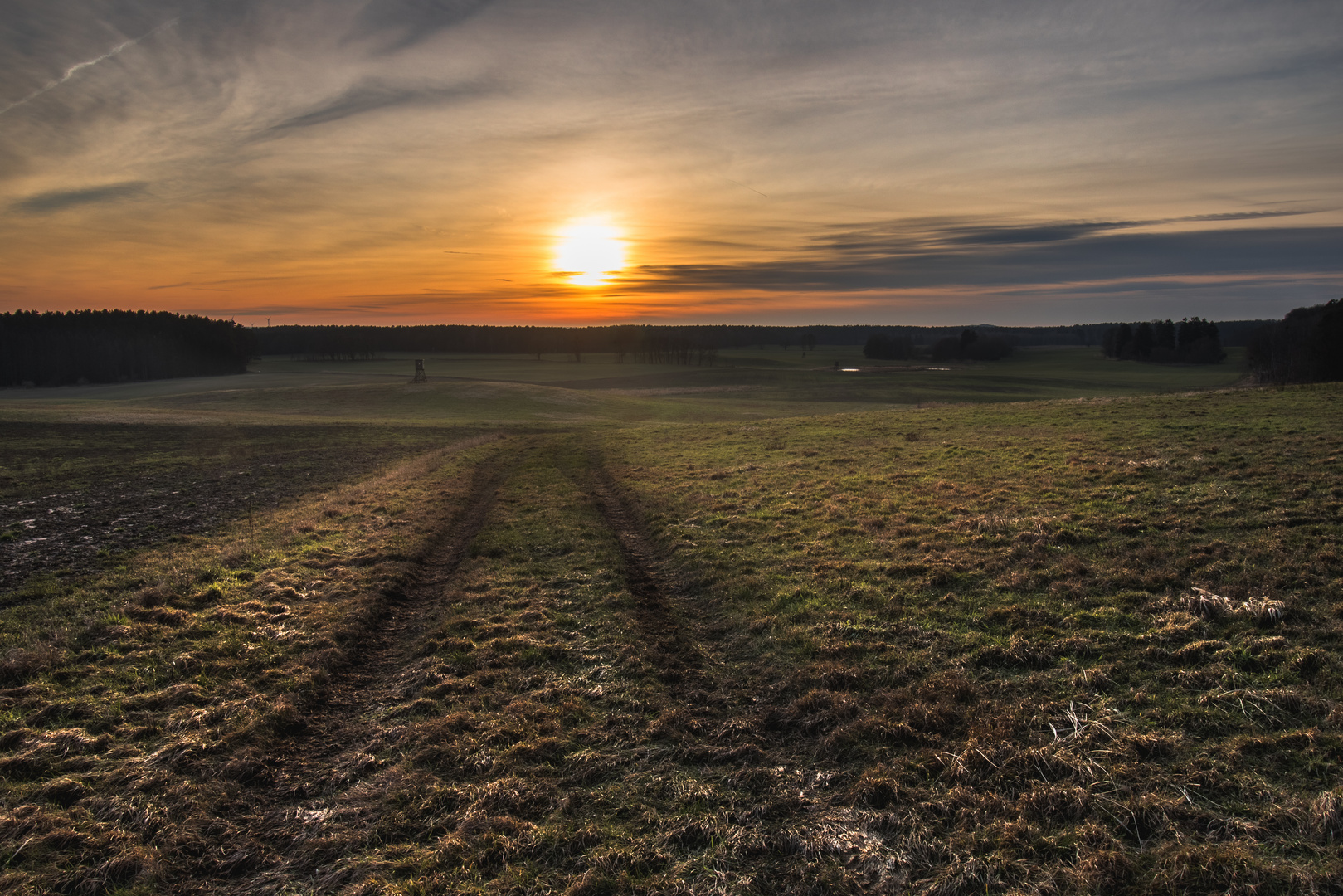 Der Blick ins Licht