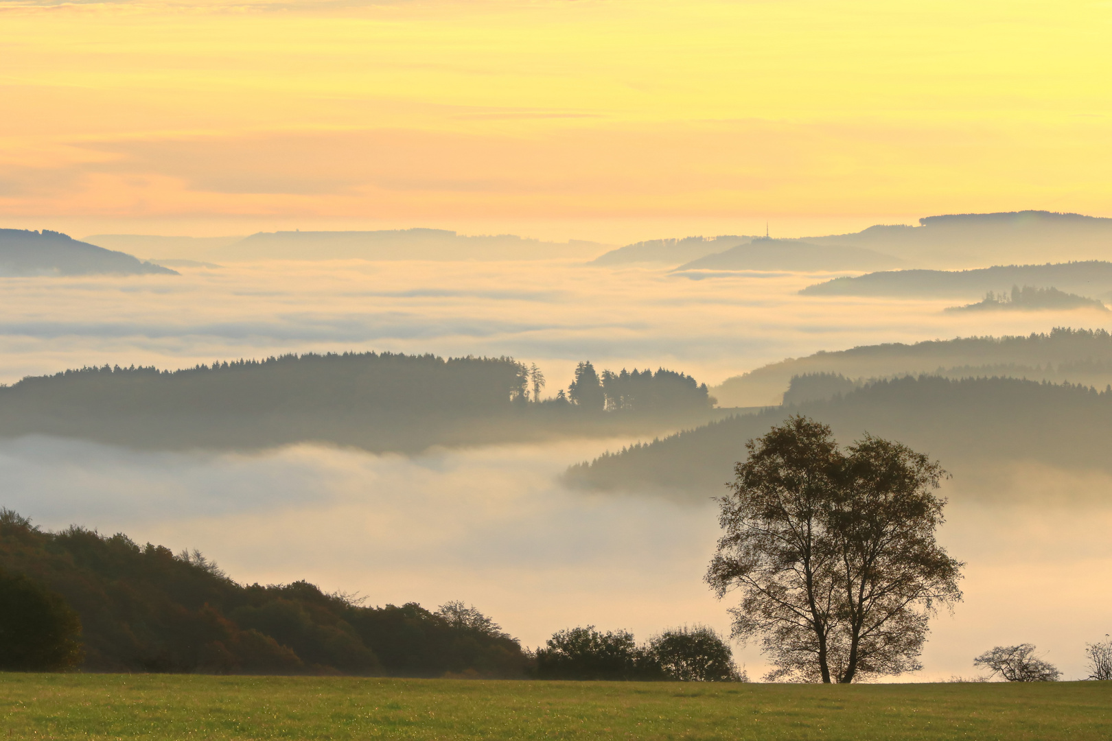 Der Blick ins Nebeltal