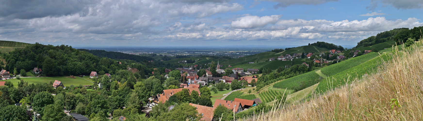 Der Blick Ins Rheintal, Panorama