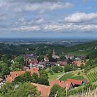 Der Blick Ins Rheintal, Panorama